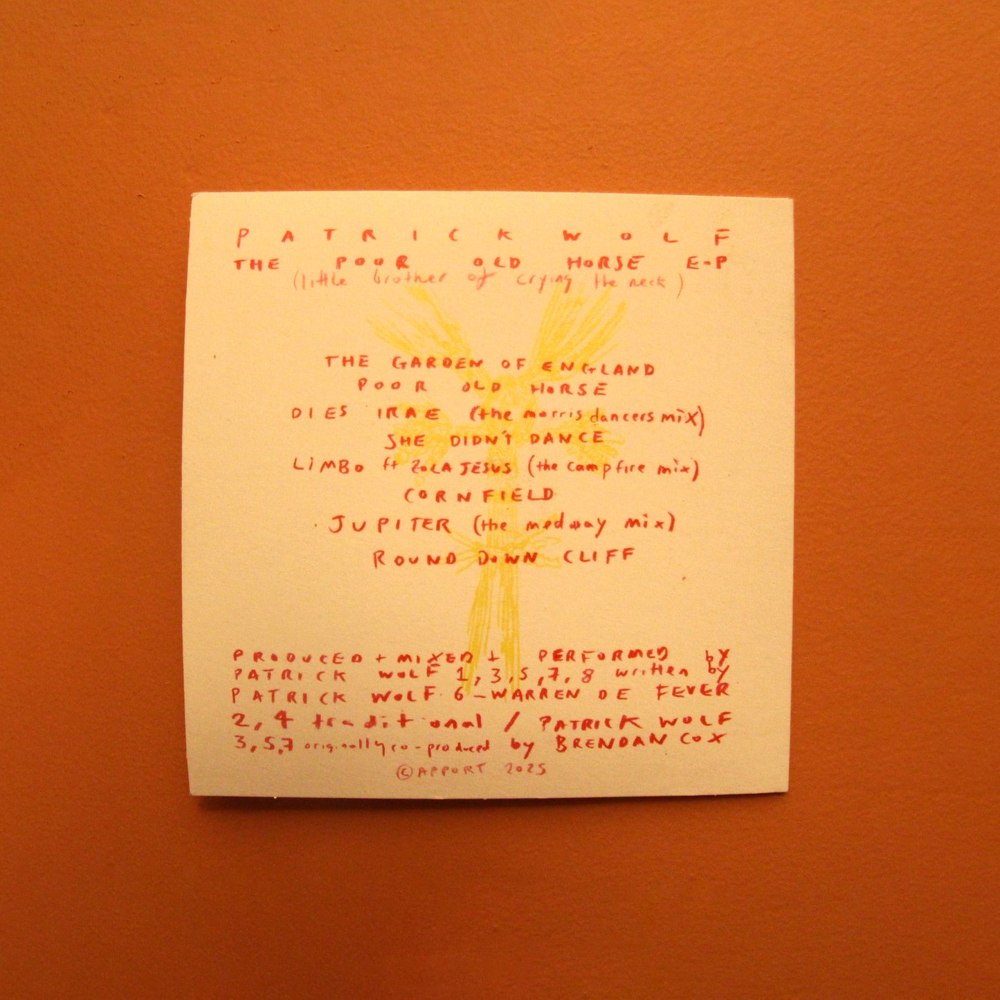 Poor Old Horse E.P - CD (Signed)